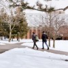 Winter Walkway